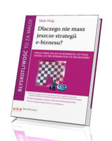 Błyskotliwość to za mało! Dlaczego nie masz jeszcze strategii e-biznesu?