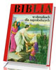 Biblia w obrazkach dla najmłodszych - okładka książki