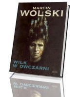 Wilk w owczarni