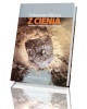Z cienia. Powieść o żołnierzach - okładka książki