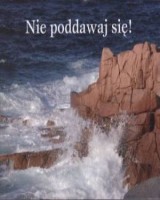 Perełka 118. Nie poddawaj się