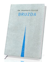 Bruzda - okładka książki