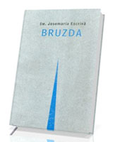 Bruzda