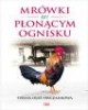 Mrówki w płonącym ognisku - okładka książki