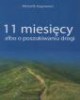 11 miesięcy albo o poszukiwaniu - okładka książki