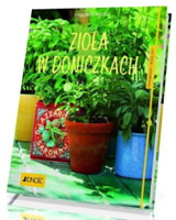 Zioła w doniczkach