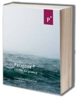 Paragone. Rzeźba na granicy