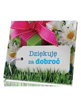 Perełka 265. Dziękuję za dobroć