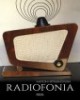 Radiofonia w Polsce. Zarys dziejów - okładka książki