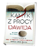 Kamyk z procy Dawida. Jak czytać - okładka książki