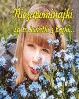 Niezapominajki, są to kwiatki z bajki...