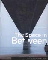 The Space in Between. Diaspora and the Neobaroque in the Works of Junot Diaz. Studies in Literature and Culture. Volume 18