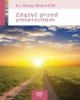 Zdążyć przed zmierzchem - okładka książki