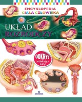 Encyklopedia ciała człowieka. Układ rozrodczy