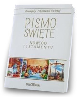 Pismo Święte - NT małe (komunia, komiks)