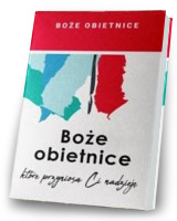 Boże obietnice - przyniosą Ci nadzieję (pudełko)