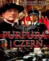 Purpura i czerń (DVD)