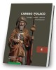 Camino Polaco. Teologia. Sztuka. - okładka książki
