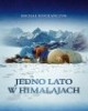 Jedno lato w Himalajach - okładka książki