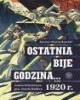 Ostatnia bije godzina. Armia Ochotnicza - okładka książki