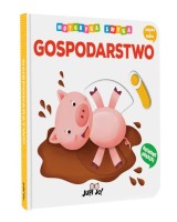 Motoryka Smyka. Gospodarstwo