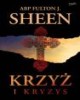 Krzyż i kryzys - okładka książki