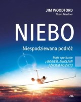 Niebo. Niespodziewana podróż. Moje spotkanie z Bogiem, aniołami i życiem po życiu