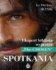 Spotkania. Ekspert biblista wyjaśnia - okładka książki
