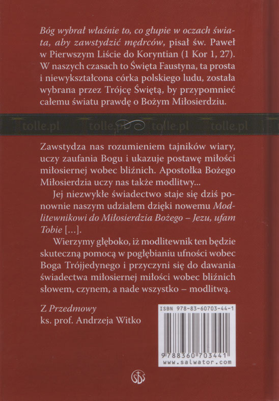 Modlitewnik do Miłosierdzia Bożego. Jezu, ufam Tobie - Klub Książki Tolle.pl