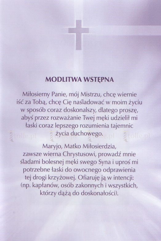 Droga Krzyżowa. Oparta na Piśmie Świętym i Dzienniczku św. Faustyny - Klub Książki Tolle.pl