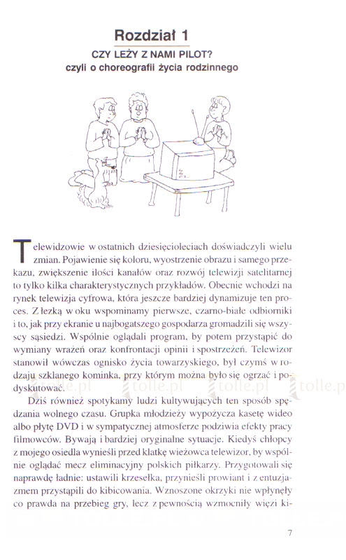 Fast food dla mózgu, czyli telewizja i okolice. Seria: Media i edukacja - Klub Książki Tolle.pl