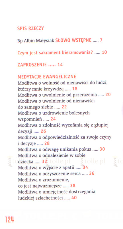 Z Bogiem na czacie. Modlitewnik dla młodych - Klub Książki Tolle.pl