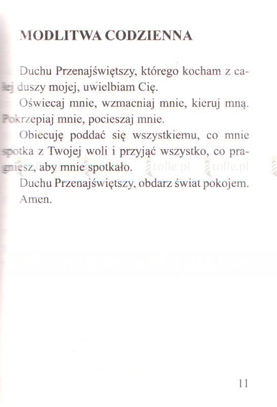 Modlitwy do Ducha Świętego - Klub Książki Tolle.pl