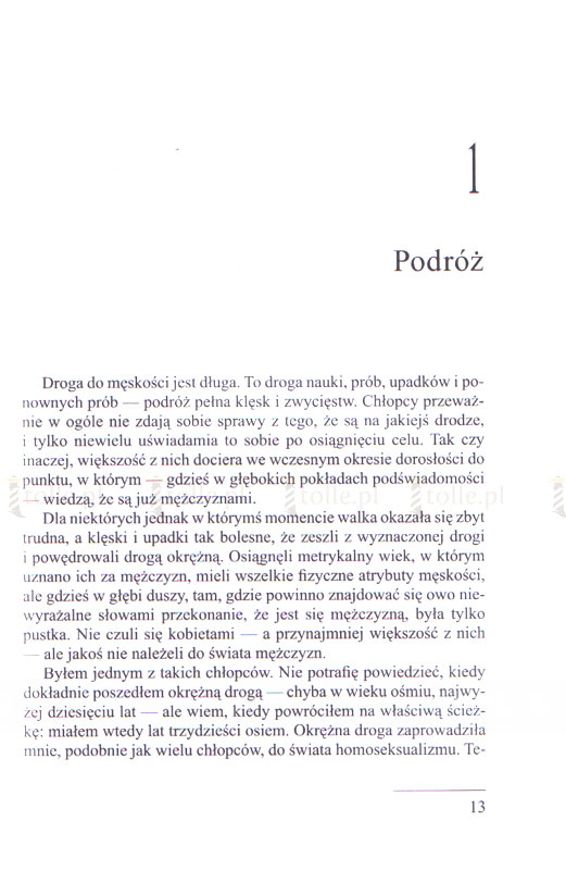 Podróż ku pełni męskości. Seria: Psychologia i wiara - Klub Książki Tolle.pl