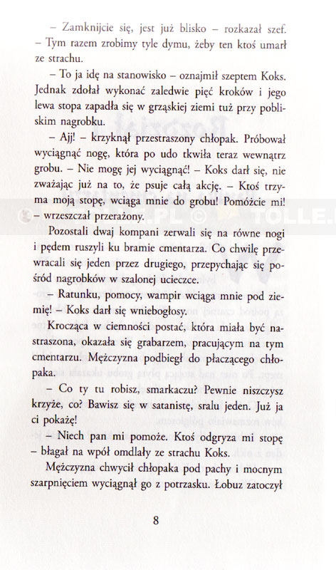 Wojownik Trzech Światów cz. 4. Strażnicy - Klub Książki Tolle.pl
