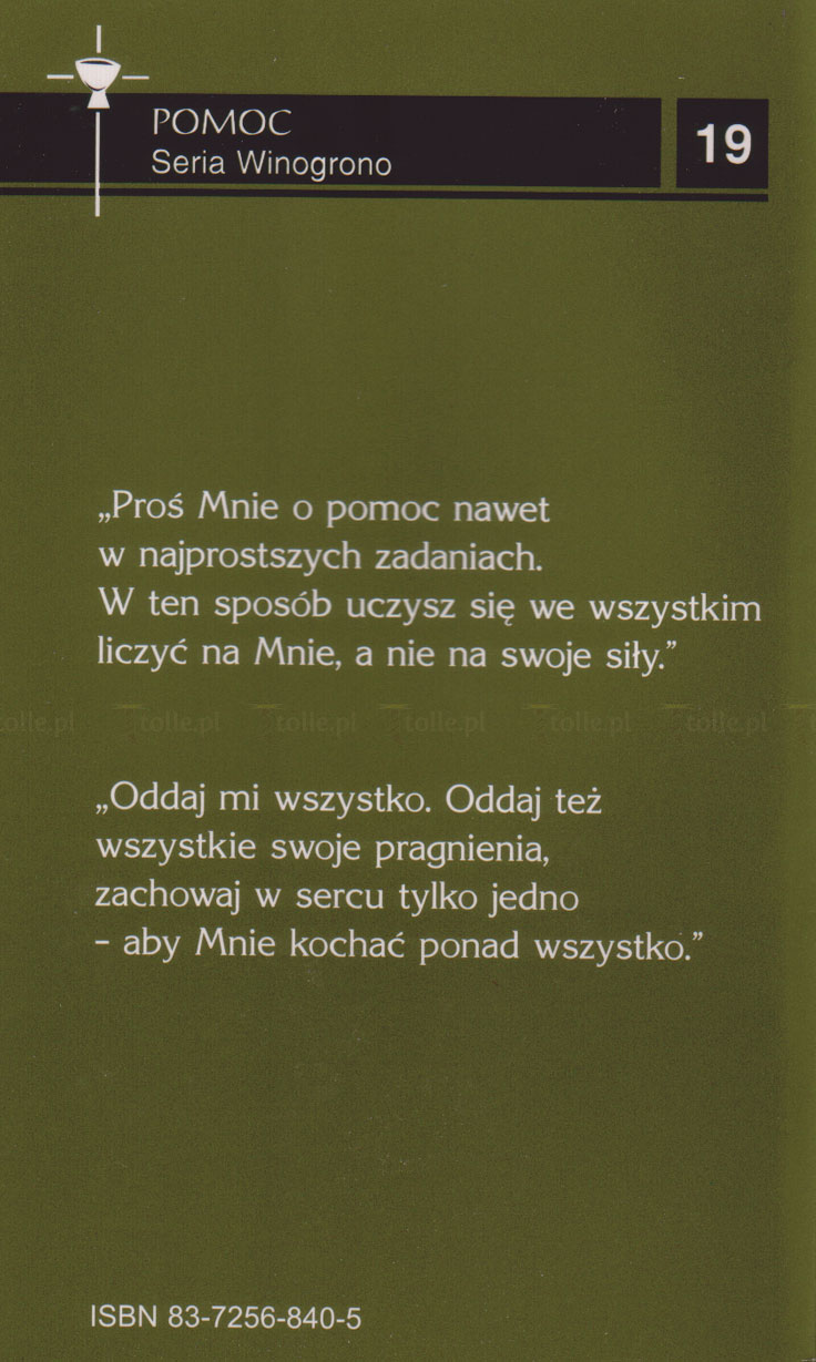 Wysiłek Wierności. Rozmowy z moim panem. Tom 2 - Klub Książki Tolle.pl