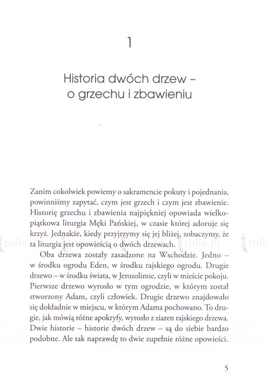 Zanurzyć się w sercu miłosierdzia. Pomoc w przygotowaniu się do sakramentu pojednania - Klub Książki Tolle.pl